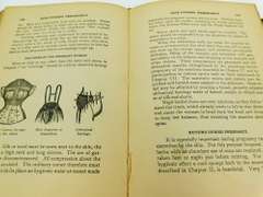 1906 Woman - GirlHood, WifeHood, MotherHood