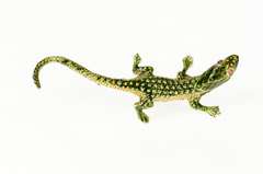 14K Yellow Gold Green Enamel Lizard Ruby Eyed Gecko Pin/Brooch