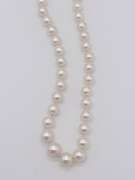 14kt Gold & Pearl Necklace