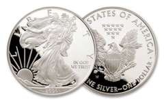 2006 W Proof Silver Eagle