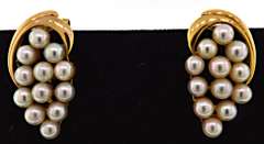 Lovely Pearl Cluster 14kt Earrings