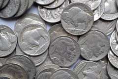 100 Full Date Buffalo Nickels