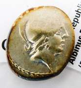 Rare 48 BC Roman Republic Albinus Brutif Coin