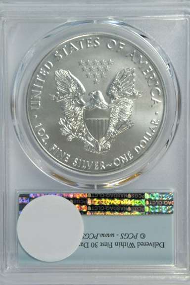 Perfect PCGS MS70 graded 2020 $1 American Silver Eagle