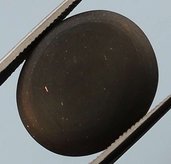 Untreated! 11.60ct Cats Eye Scapolite cabochon
