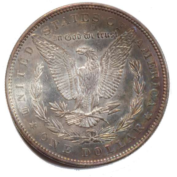 Toned 1887 Morgan Dollar