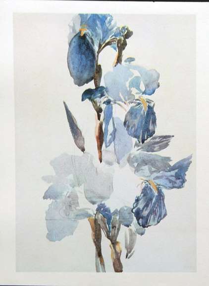 Vintage Edouard Manet, Iris