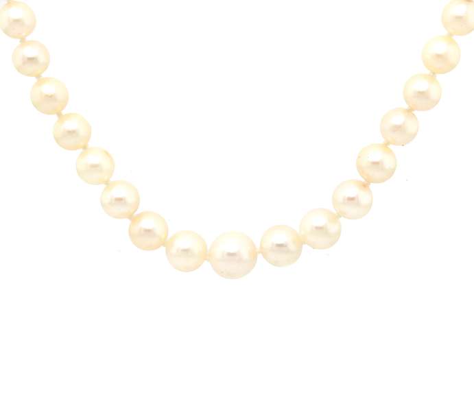 Elegant 14kt WG White Pearl Strand