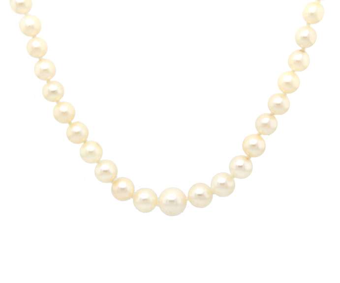 Elegant 14kt WG White Pearl Strand