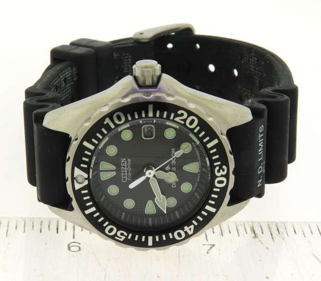 Citizen Eco Drive Promaster Diver 300m Watch