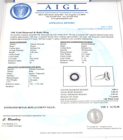 Fun Diamond & Ruby Target Ring in 14KT White Gold