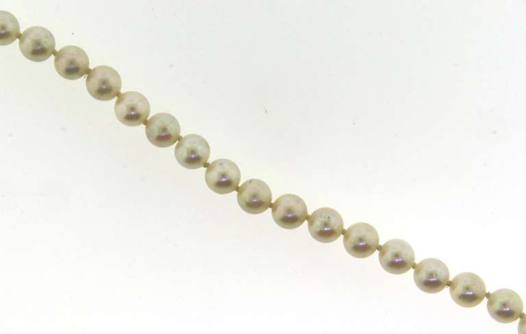 Fresh water Pearl Bracelet with Gold Clasp