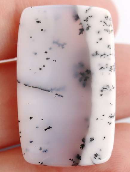 Exotic 35.41ct Turkish Dendrite Opal