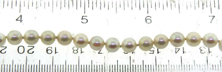 Fresh water Pearl Bracelet with Gold Clasp
