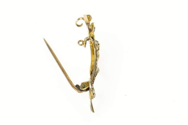 9K Yellow Gold Victorian Ornate Seed Pearl Floral Vine Pin/Brooch