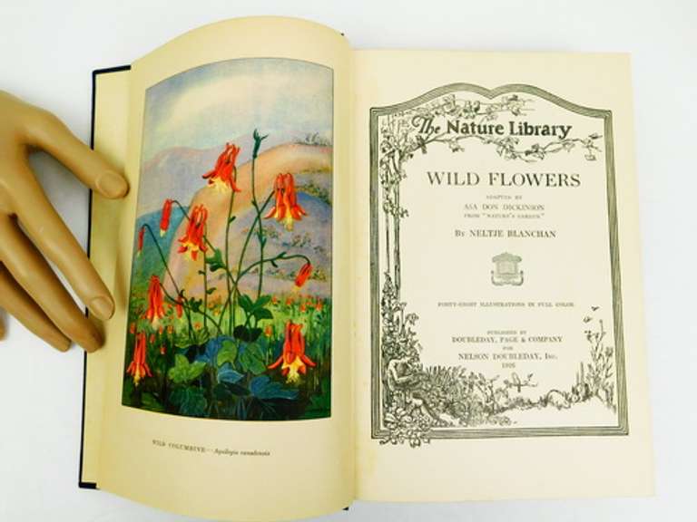1926 Wild Flowers, The Nature Library Antique Book