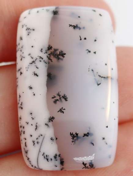 Exotic 35.41ct Turkish Dendrite Opal