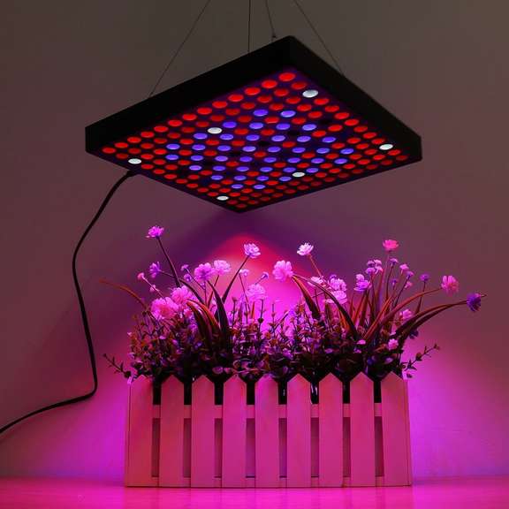 81 LED AC110-240V LED Grow Light Full Spectrum