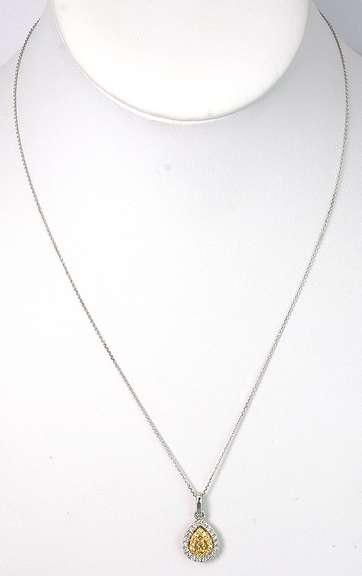 Sparkling 18KT 2-Tone Necklace with 0.75CTW Fancy Color Diamonds