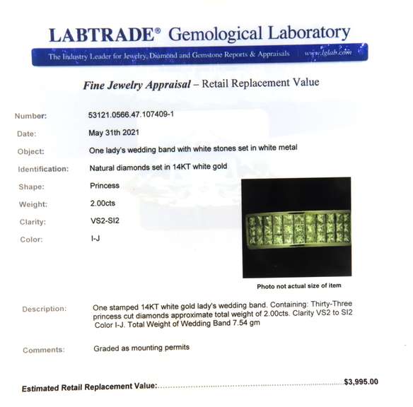 Sepctacular White Gold Invisible Set Princess Cut Diamond Band