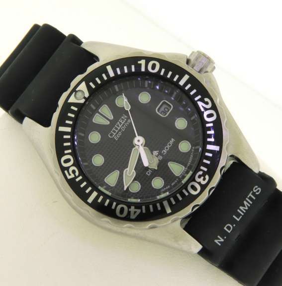 Citizen Eco Drive Promaster Diver 300m Watch