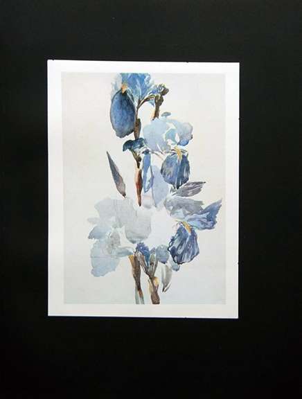 Vintage Edouard Manet, Iris