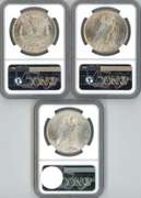 Choice BU 1921 to 1923 Silver Dollars. NGC MS63 holders