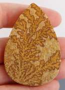 Collectors 135.98ct German Psilomelane Dendrite