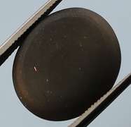 Untreated! 11.60ct Cats Eye Scapolite cabochon