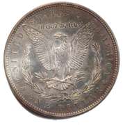 Toned 1887 Morgan Dollar