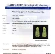 Elegant 14kt YG Round Cut Diamond Pave Levian Hoop Earrings