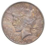 1922 Peace Silver Dollar - Interesting Color