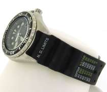 Citizen Eco Drive Promaster Diver 300m Watch