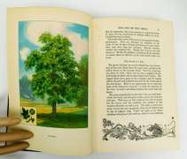 1926 Trees, The Nature Library Antique Book
