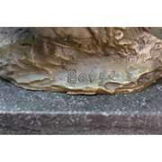 African Lion Bust Bronze Sculpture