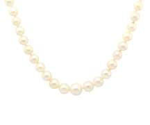 Elegant 14kt WG White Pearl Strand
