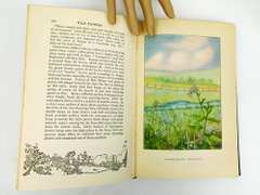 1926 Wild Flowers, The Nature Library Antique Book