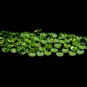 Twinkling 5.38ct set of matched diamond cut Peridot