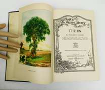 1926 Trees, The Nature Library Antique Book