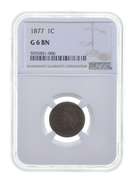 G6 BN 1877 Indian Head Cent - Graded NGC