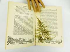1926 Wild Flowers, The Nature Library Antique Book