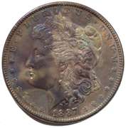 Toned 1887 Morgan Dollar