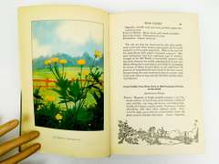 1926 Wild Flowers, The Nature Library Antique Book