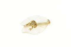 14K Yellow Gold Diamond Tree Dart Frog Camphor Glass Pin/Brooch