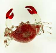 Hand Blown Art Glass Crab Scuplture