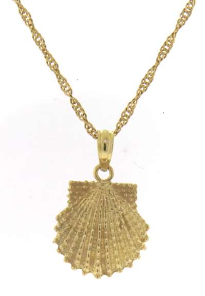 CaptivatingShell Pendant on Twisted Chain