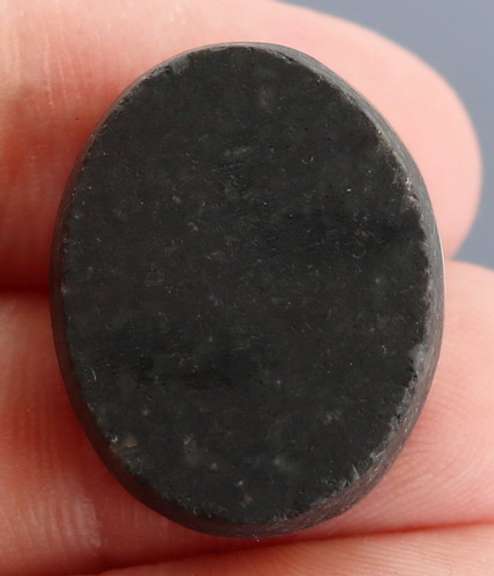 Highly figurative 31.39ct rainbow flashing Australian Abalone