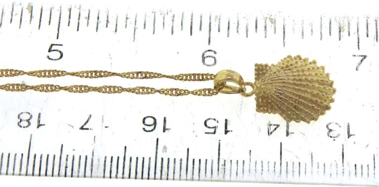 CaptivatingShell Pendant on Twisted Chain