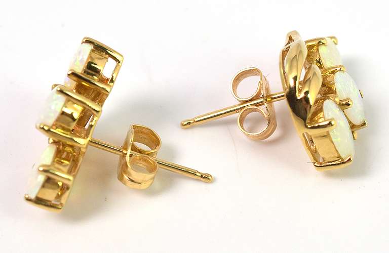 Enchanting Opal Earrings in 18KT Yellow Gold