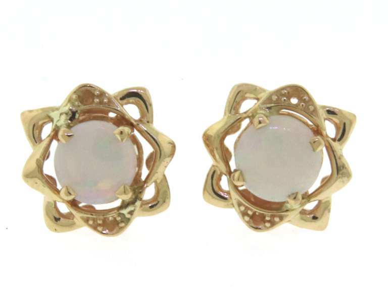 Lovely Yellow Gold Opal Earrings